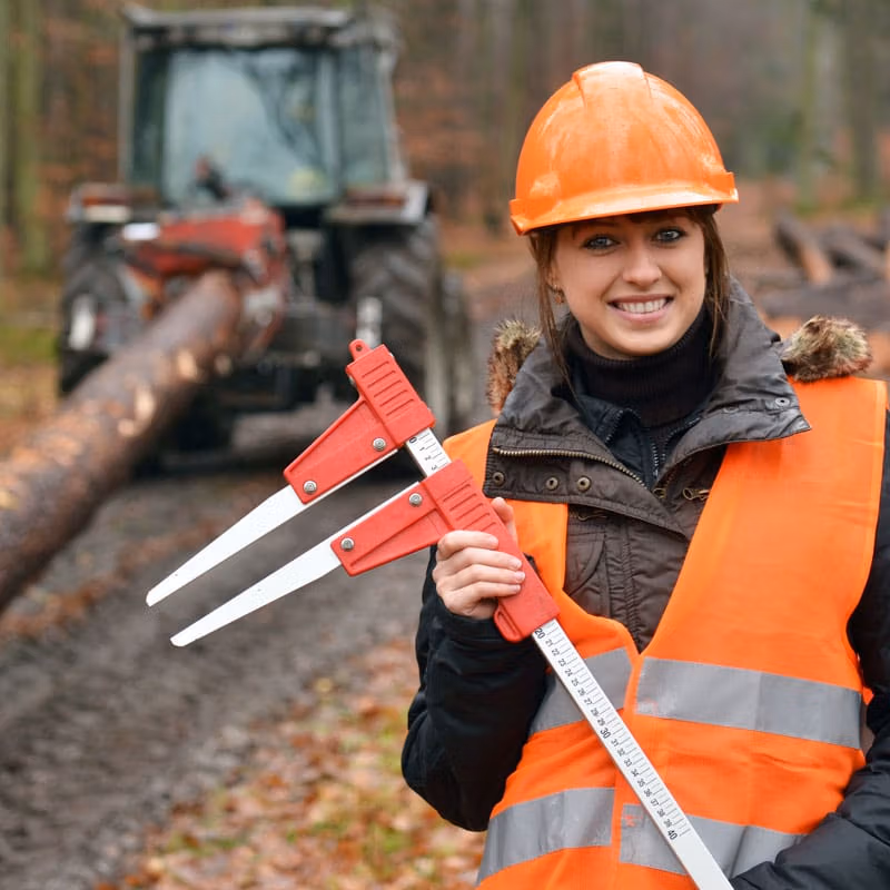 Canada's Largest Forest Industry Personnel Recruiting Firm